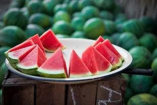 小雨会酿酒吃瓜视频,传统技艺与现代生活的完美融合