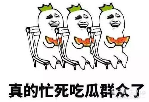 吃瓜群众爱看视频怎么办,揭秘“吃瓜群众”热衷视频背后的秘密