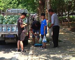 泗阳网红街吃瓜群众视频,吃瓜群众镜头下的烟火人间