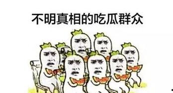 吃瓜群众绿布素材视频,揭秘网络视频的幕后故事