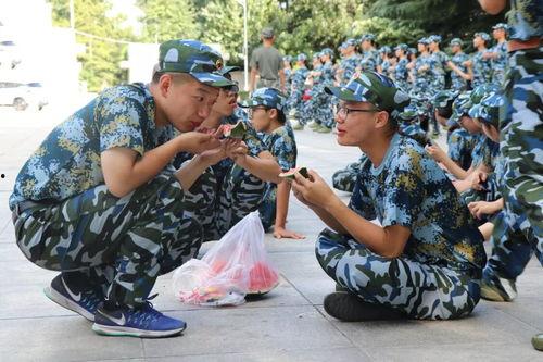 军人吃瓜的视频,军人日常生活的趣味瞬间