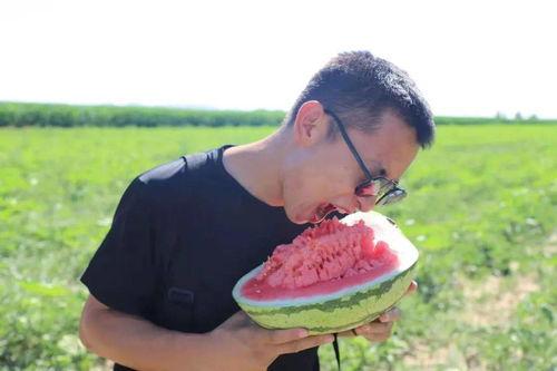 呼唤吃瓜群众视频播放,呼唤吃瓜视频播放量飙升，揭秘背后故事