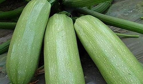 9月份最火吃瓜视频,揭秘娱乐圈幕后真相！