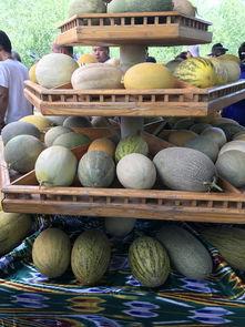 吃新疆瓜的视频,一场视觉与味蕾的双重盛宴