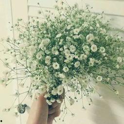 满天星小姐姐吃瓜视频,揭秘娱乐圈幕后真相