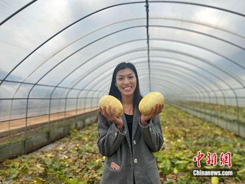 吃云南小瓜蜜的视频,甜蜜滋味，探寻云南特色美食之旅