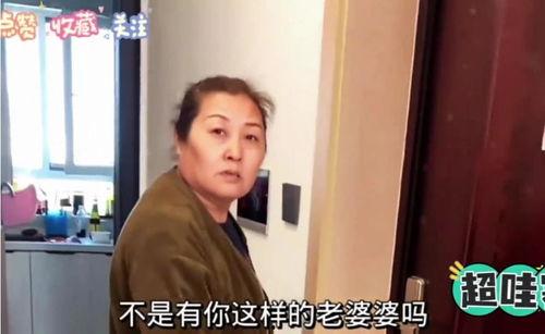 婆婆吃瓜夏琪后续视频全集,揭秘后续视频全集精彩瞬间